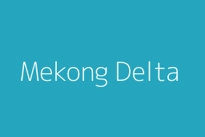 Mekong Delta Experience